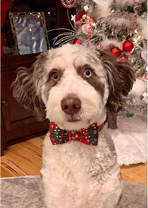 Lionheart Glory Christmas Plaid Dog Collar, Adjustable Soft Collar with Bowtie for Small Medium Large Dogs