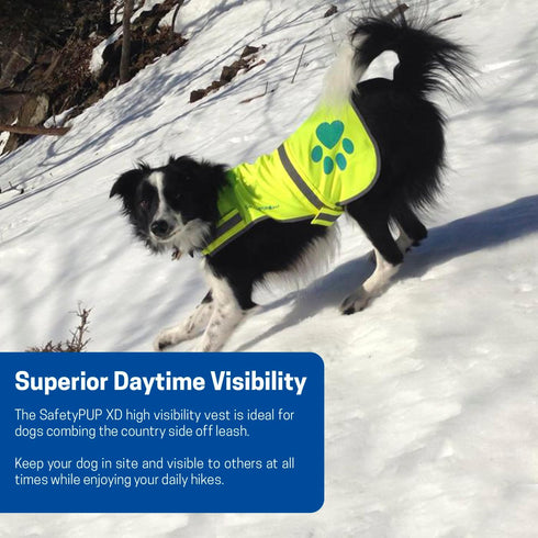 Urban Dog Reflective Vest, Fluorescent Hi-Visibility Dog Jacket in Multi-Colors, Safeguards Your PUP Outdoors On and