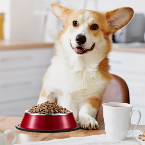 6 Pack 7oz Stainless Steel Dog Bowls, Mini Colorful Anti Slip Dishes for Kittens and Puppies