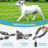 BAAPET 6 Feet Anti-Choking Dog Leash, Black, Durable Rope Cover, Padded Handle, Training with Poop Bags