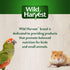 Wild Harvest Foraging Instincts Peck n’ Play Interactive Treat for Small Birds, 2 Ounce