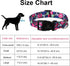 Maca Bates Designer Flower Dog Collar, Cute Spring Collars for Small Medium Large Puppies, Birthday Gift