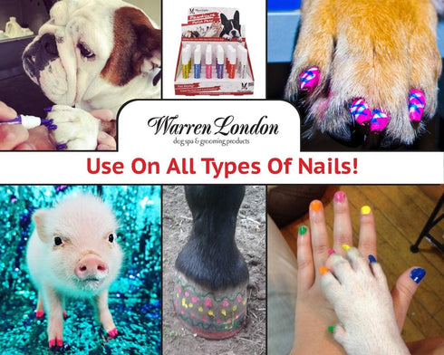 Warren London Pawdicure Dog Nail Polish Pens - Made in USA, Quick Dry, Neon Pink, 13 Colors