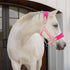 Equinavia Saga Fleece-Padded Breakaway Halter - Sweet Pink & Pink Flambe for Horses