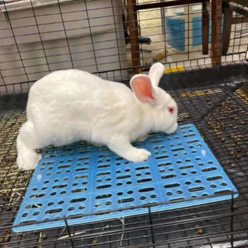 4 13.49.8x0.4'' Chinchilla Hamiledyi Piece Rabbit Feet Pad Hole Leak Water Design for Plastic Bunny Feet Pad Playpen