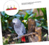 MUELODSIC Interactive Parrot Training Ring for Medium to Large Birds Wooden Tabletop Stacking Game to Enhance