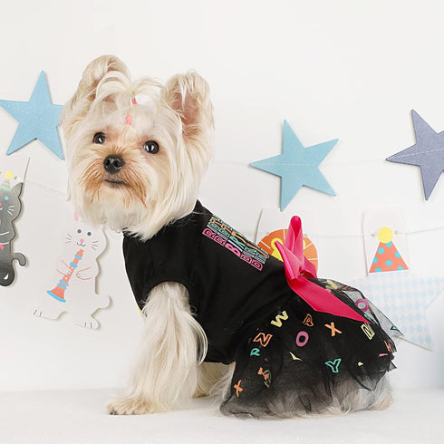 Dog Birthday Outfit for Small Dogs, Colorful Alphabet Mesh Dresses, Summer Tutu Princess Pet Clothing, XS