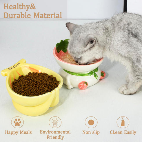 Raised Cat Bowls - Elevated Ceramic Cat Food Bowl for Indoor Cats, Whisker Fatigue, Cute Fruit Themed (Strawberry)
