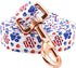 Lionheart Glory Patriotic Dog Leash, American Flag Durable Leashes with Comfortable Soft Handle for Small Medium Large