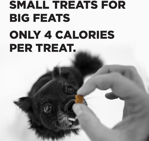 BIXBI Liberty Peanut Butter Dog Treats - Small, Low-Calorie Training Snacks