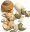 CHINGE ZHI Natural Hermit Crab Shell Set, Small to Medium Size