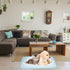 20pcs UKCOCO Dog Pee Pads Disposable Pet Urine Mats Pee Pads for Dogs Washable Pet Changing Mat