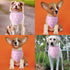 Wedding Dog Bandana Best Friend of Bride Dog Bandana Engagement Wedding Announcement Dog Bandanas Puppy Bandana