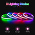 LED Dog Collar - Light Up USB Rechargeable Dog Collar for Night Walking, Adjustable Medium Neon Green