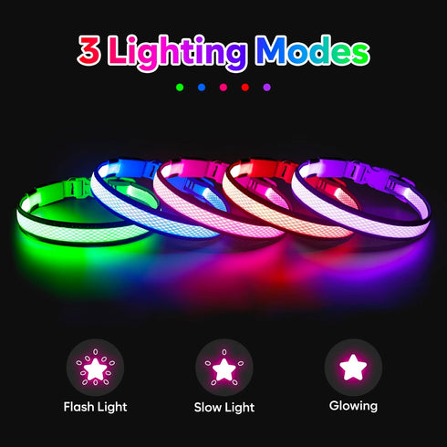 LED Dog Collar, Light Up USB Rechargeable Dog Collar, Brightest Lights for Night Walking, Adjustable Safety (Small,