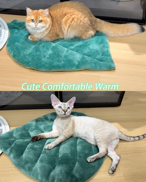 26"x20" Cat Mat Self Warming Cat Bed Leaf Shaped Cotton Soft Warm Pet Pad Blanket for Indoor Bed Couch Sofa Floors Cat