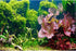 AWERT 48x24 inches Aquatic Plant Aquarium Background, River Bed & Lake Vinyl Background for Fish Tank