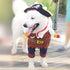 NACOCO Pirates of The Caribbean Style Pet Dog Costume, Brown (XS) for Cat