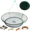 Portable Crab Net & Basket - Foldable Fishing Trap for Minnows, Crawfish,