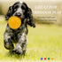 Dog Balls 4.5” Squeaky Toys, Spikey Dog Ball for Aggressive Chewers, Heavy Duty Teething Balls for Large Medium Dogs (4