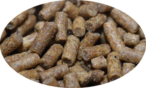 1.5oz Wpc-Co. Freshwater Shrimp Food | Cherry & Ghost Shrimp Food | Aquarium Shrimp Food Pellets |