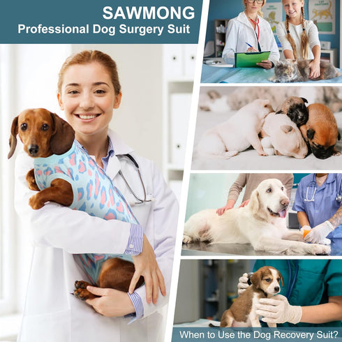 SAWMONG Recovery Suit for Dogs - Breathable Polyester Dog Onesie Body Suit for After Surgery (Blue Leopard, L)