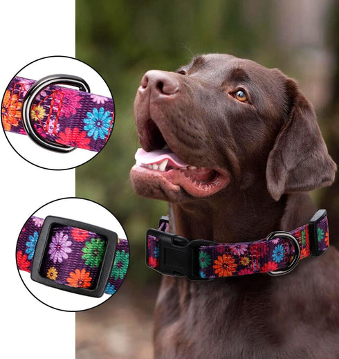 Rhea Rose Girl Dog Collars, Fall Daisy Pattern Colorful Flowers Print for Female Dogs (Dark Purple, Large)