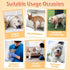 36pcs Pet Soft Dog Diapers Female - Disposable Puppy Diapers, Cat Diaper XXSmall