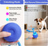 Interactive Touch Activated Dog Ball Toy
