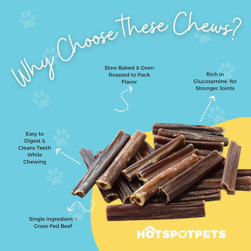 hotspot pets Beef Gullet Sticks for Dogs 6" - All Natural Grass-Fed Chews, Rich in Glucosamine