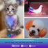 OPAWZ Semi-Permanent Dog Hair Dye, Food-Grade Pigment, Non-Toxic Pet Hair Dye for Dogs, Cats, and All Pets (Strawberry