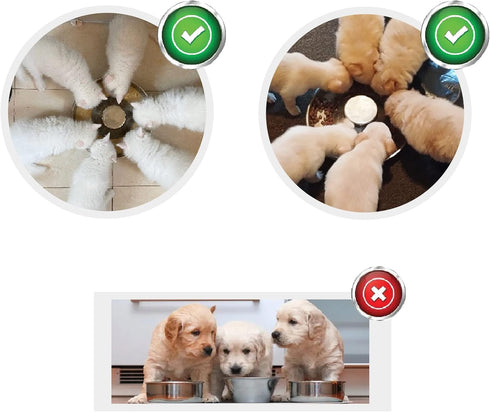 Puppy Dog Bowl - Stainless Steel Multiple Puppies Feeder, Basic Food and Water Bowls for Small, Medium, Large Dogs