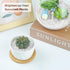 T4U 2 LB, Tumbled Chips Stones Crushed Crystal Quartz Irregular Shaped Gravels Pebble Healing Stones, DIY Smoothed