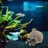 Aquarium Resin Skull for Aquarium Decoration and Reptile House Cave