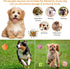 Squeaky Dog Toy Balls with Funny Piggy Face, Durable Teething Latex Rubber, Interactive Fetch Play (6PCS) for Small