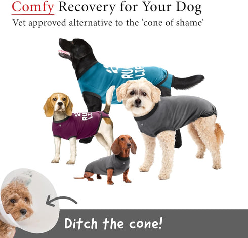 BellyGuard Recovery Suit for Dogs, Comfy Post-Op Care Onesie for Female Spay and Male Neuter Surgery