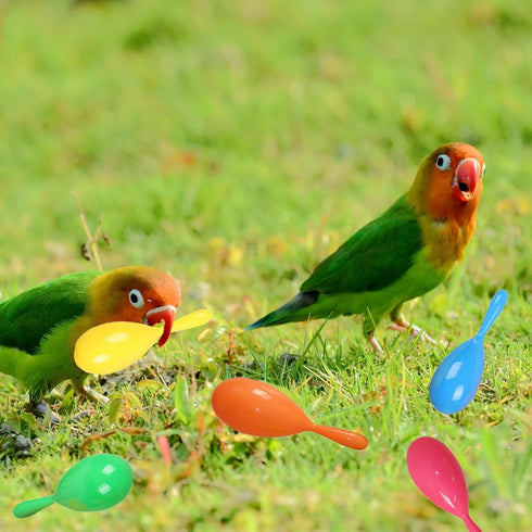 TTFdacai 6 Hammer Pcs Parrot Rattle Shaker Musical Sound Toy Funny Bell Toys Mini Sand Bird Parrot Toys for Chicken