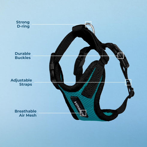 Voyager Step-in Lock Pet Harness, Adjustable All Weather Mesh Harness for Cats and Dogs, Turquoise/Black Trim, L