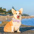 Lionheart Glory Dog Collar, Shark Print Bow Collar, Pink Adjustable Soft Collar for Large Dogs