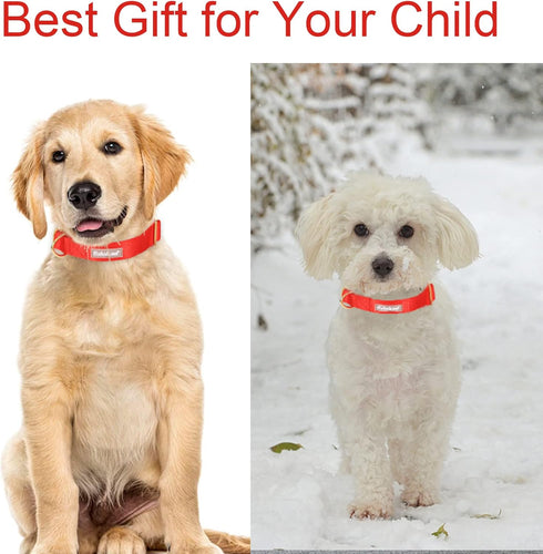 Babole Red Nylon Dog Collars for Small Puppy, 13 Colors Adjustable Soft Comfortable Pet Collars with Safety Metal