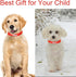 Babole Red Nylon Dog Collars for Small Puppy, 13 Colors Adjustable Soft Comfortable Pet Collars with Safety Metal