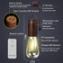 2 Pack Bulb,Portable Backpacking Rechargeable Warm Tent Hanging Light Outdoor Vintage LED Camping Light,Pendant
