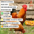(10 Pampered Chicken Mama Chicken Feed Mash - Premium Layer Feed Pellets - High Protein & High Calcium Chicken Grower