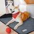 PetAmi Waterproof Dog Blanket, Leakproof XL Pet Blanket for Large Dogs, Reversible Washable Soft Plush, 60x80 Black Gray