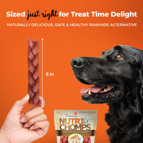NutriChomps Dog Chews, 6-inch Braids, Rawhide-Free Dog Treats, Healthy, 4 Count, Real Chicken Flavor