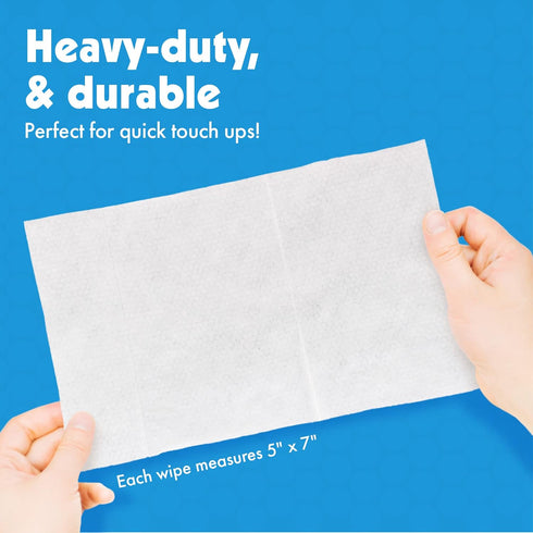Petkin Jumbo Pet Eye Wipes, 80 Extra Moist Wipes, 2 Pack - Natural Formula for Dirt, Discharge, Tear Stains