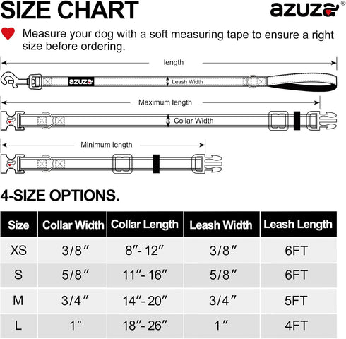 Azuza Nylon Fall Dog Collar and Leash Set, Strong Basic Style Leash with Easy Collar Hook, Ginger Yellow, XS