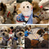 Geyoga 6-Piece Cute Printed Dog Shirts, Cotton Pet Sweatshirts for Dogs (M)