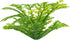 Penn-Plax Plant-Air Airline Tubing for Aquariums, 60" Tubing That Looks Like an Aquarium Plant (PA1)