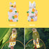 FAURAPMNG 6 Pcs Bird Diapers Parrot Nappy Flight Suit Reusable Cockatiel Clothes with Elastic Back Rope Waterproof